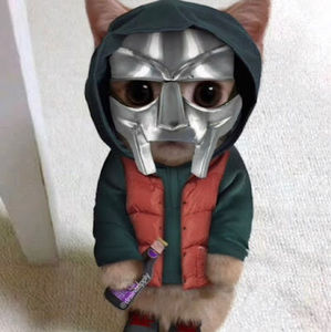 Meet your Posher, Ethan